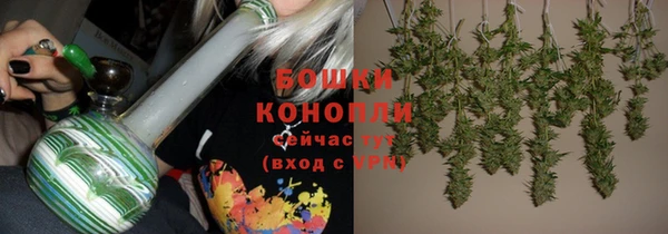 Альфа ПВП Медногорск