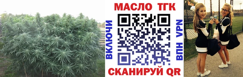 Дистиллят ТГК Wax  Дрезна 